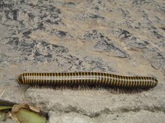 -碓臼峪自然风景区