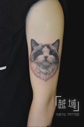 -越域刺青