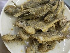 -翟氏天天小吃(上东街区店)