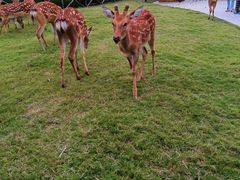 -祥源·阜阳生态乐园