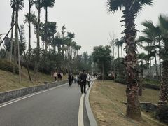 -枫香湖儿童公园