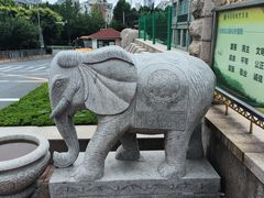 -青岛格兰德小学