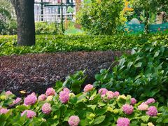 -北外滩滨江绿地