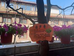 -何适山庄 ·可团建(水长城P2停车场店)