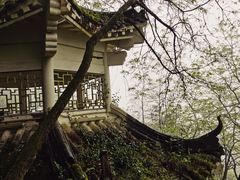 -綦江古剑山