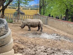 -西安秦岭野生动物园