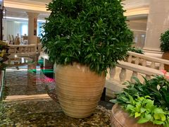 -金悦轩海鲜酒家(银河店)