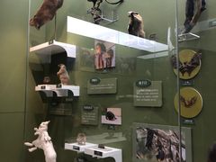 -国家自然博物馆