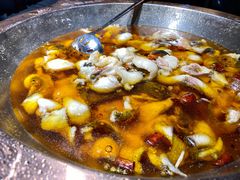 -雲蜀龙阁·金牌水煮鱼(方庄店)