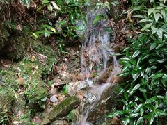 -藏龙百瀑风景区