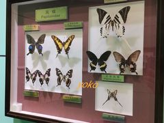 -上海昆虫博物馆