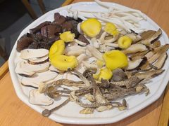 -大理董·董家小厨野生菌火锅(古城旗舰店)