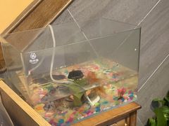 -大圣烧烤(马湖新村店)