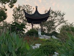 -上海滨江森林公园