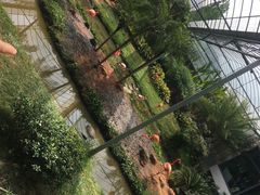 -无锡动物园·太湖欢乐园