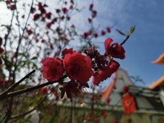 -盆满钵满·国家非遗传承(云台店)