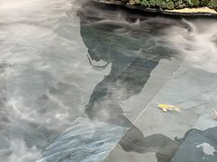 -觀芷隐轩