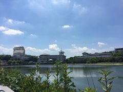 -天乐农家鱼头王(天目湖店)