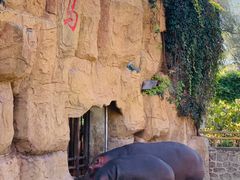 -沈阳森林动物园