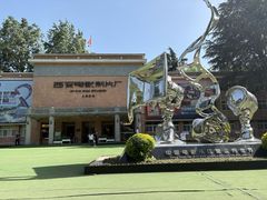 -西安电影制片厂