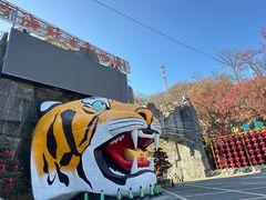 -栾川竹海野生动物园