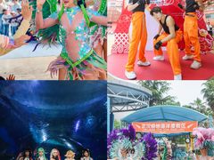 -海合安武汉极地海洋公园