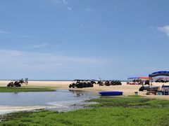 -东郊椰林