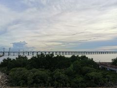 -宝安西湾红树林湿地公园