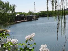 -大兴滨河森林公园