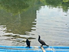 -荔江湾景区