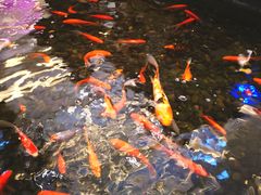 -红星美凯龙(上海沪南店)