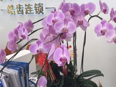 -皓齿连锁·雅贝健口腔·种植·矫正中心(虹口曲阳路店)
