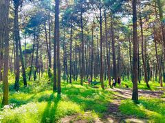 -长春净月潭风景名胜区