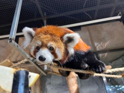 -Zoolung Zoolung动物主题公园(海信广场店)