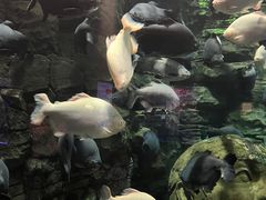 -成都浩海立方海洋公园