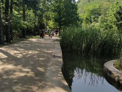 -白水寺森林公园