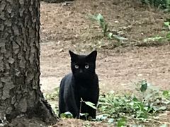 -苏州河梦清园环保主题公园