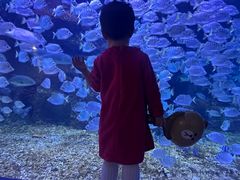 -沙沙哗啦海洋馆(华宇百花谷店)