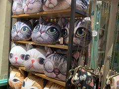 -猫咪博物馆(顶澳仔猫街店)