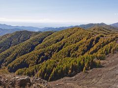 -苏木山森林公园
