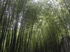 -竹泉村旅游度假区