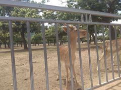 -西安秦岭野生动物园