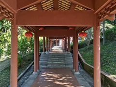 -广州神农草堂中医药博物馆