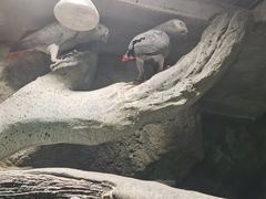 -福州罗源湾海洋世界旅游区