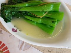 上汤富春菜心-点都德(汇盈广场店)