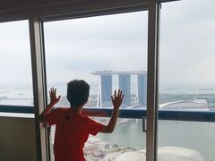 -新加坡瑞士史丹福酒店