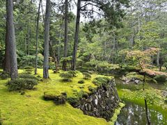 -西芳寺(苔寺)
