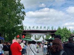 -黄海国家森林公园