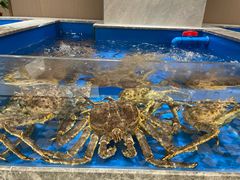 -帝皇海海鲜豆捞(桐泾商务广场店)