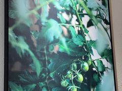 -小满Grainkitchen(滨江商业广场店)